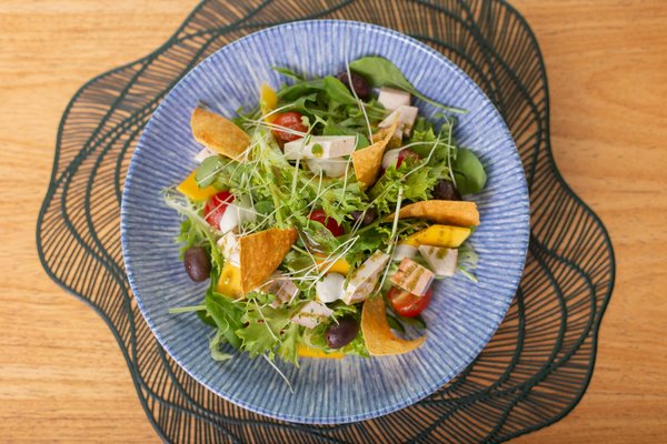 Designing a stylish and pet-friendly kitchen in the uk: essential tips for a chic and functional space